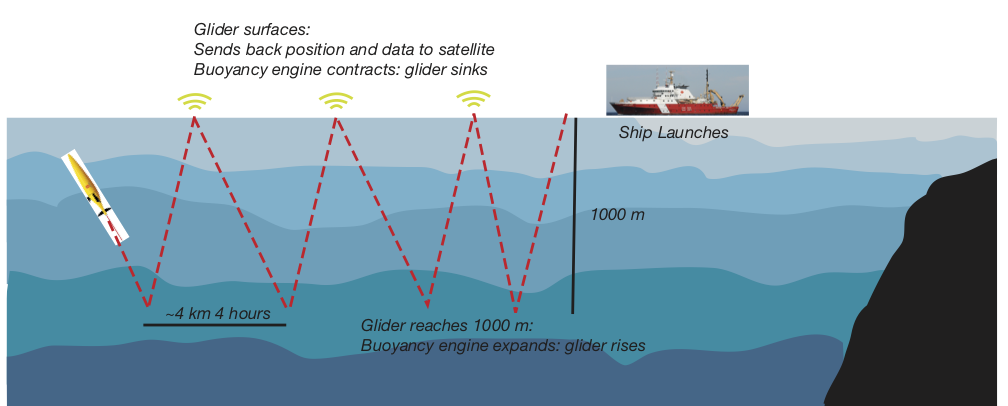 How a glider works.